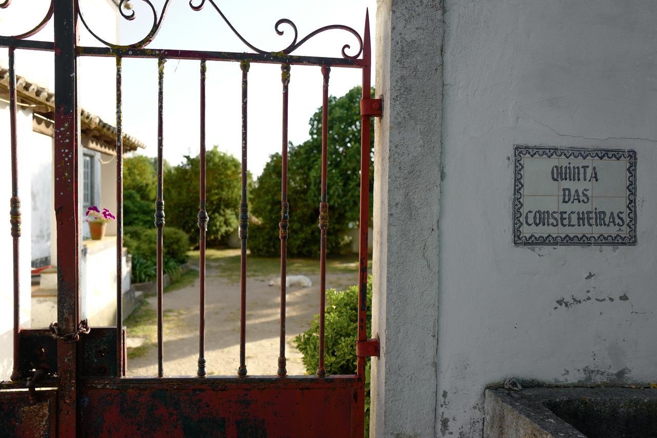 Pensjonat Arrabida Heritage @Portugal Luxury Retreat Azeitão Zewnętrze zdjęcie